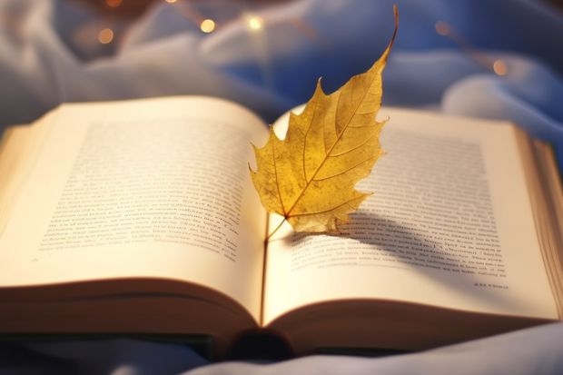 西安石油大学是一本还是二本？ 陕西中医药大学是一本院校还是二本院校？