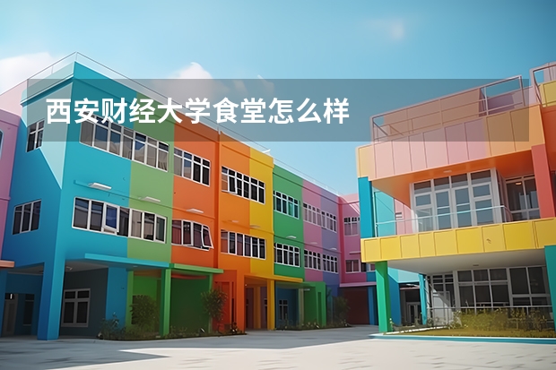 西安财经大学食堂怎么样