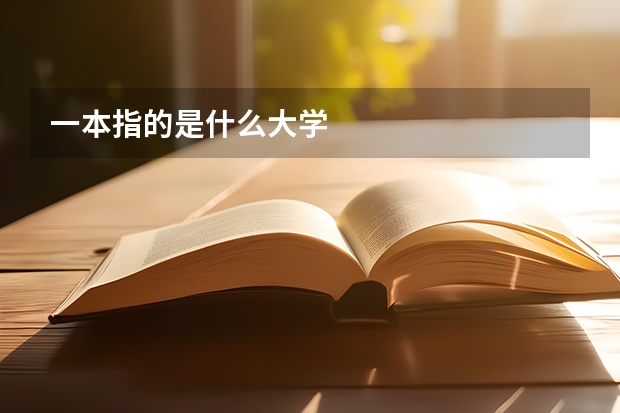 一本指的是什么大学