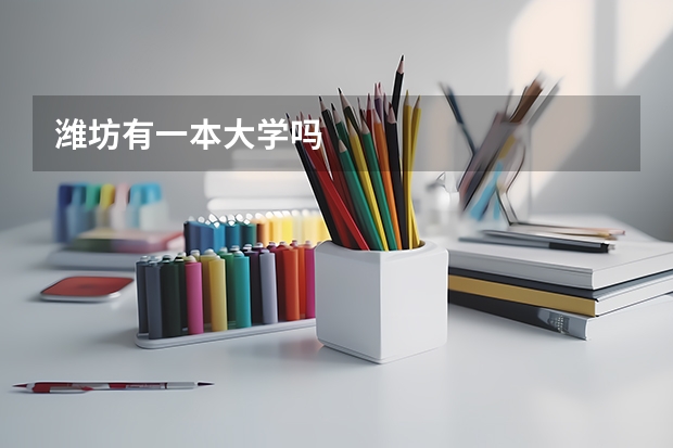 潍坊有一本大学吗