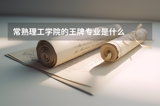 常熟理工学院的王牌专业是什么