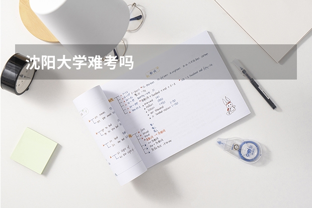 沈阳大学难考吗