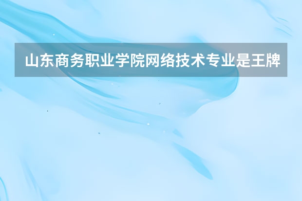 山东商务职业学院网络技术专业是王牌专业吗