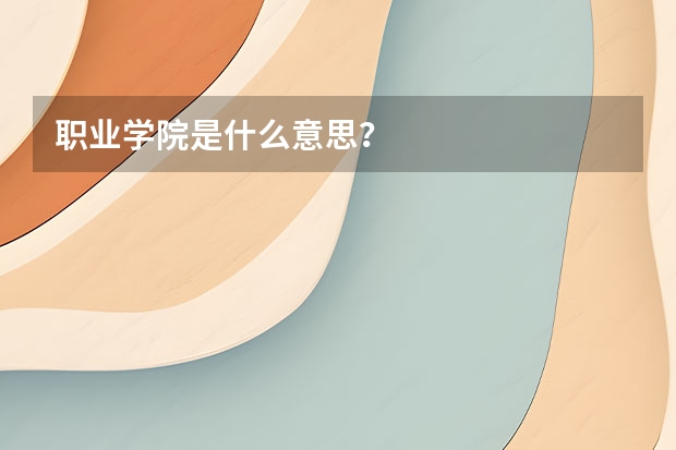 职业学院是什么意思？