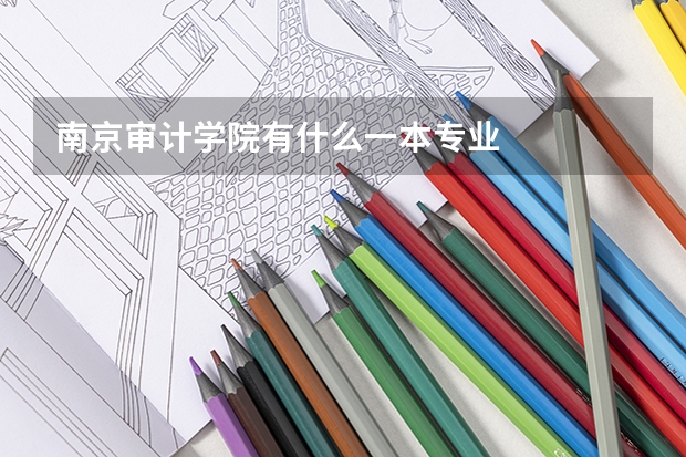 南京审计学院有什么一本专业
