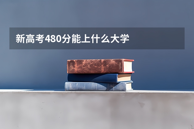 新高考480分能上什么大学