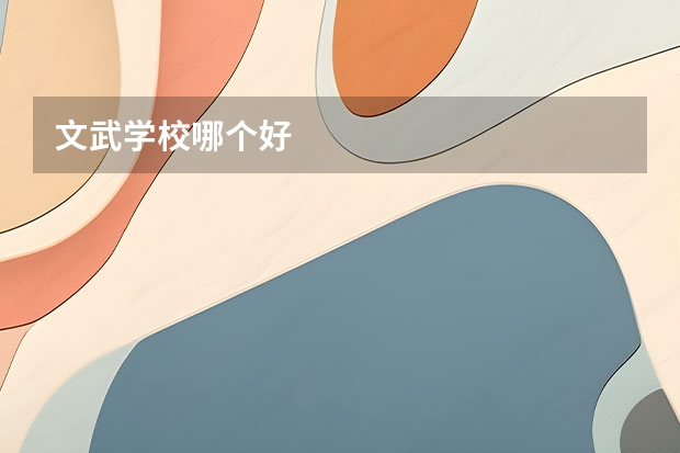 文武学校哪个好