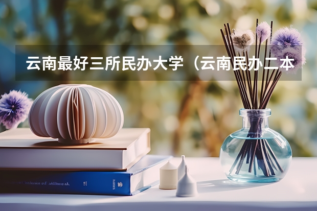 云南最好三所民办大学（云南民办二本大学排名）