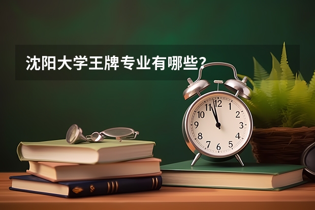 沈阳大学王牌专业有哪些？