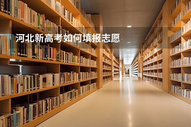 河北新高考如何填报志愿