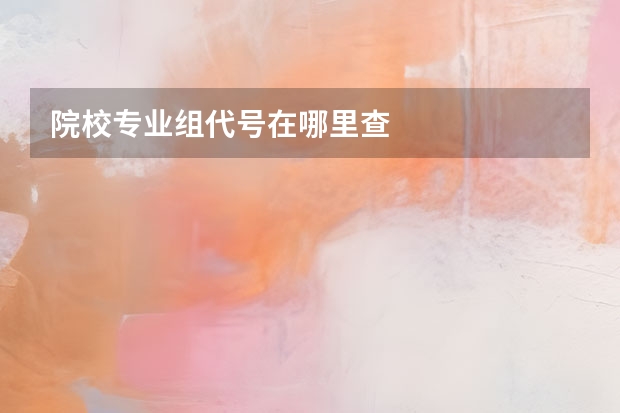 院校专业组代号在哪里查