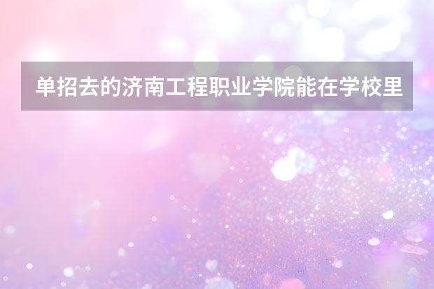 单招去的济南工程职业学院能在学校里当兵去吗