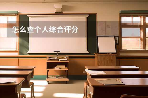 怎么查个人综合评分