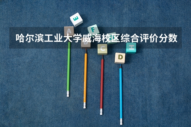 哈尔滨工业大学威海校区综合评价分数线（上海市综合评价分数线）