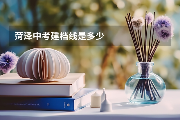 菏泽中考建档线是多少