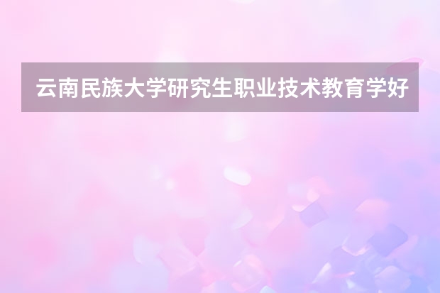 云南民族大学研究生职业技术教育学好就业吗。和就业方向？