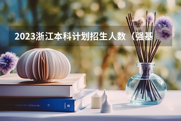 2023浙江本科计划招生人数（强基计划各省录取人数）