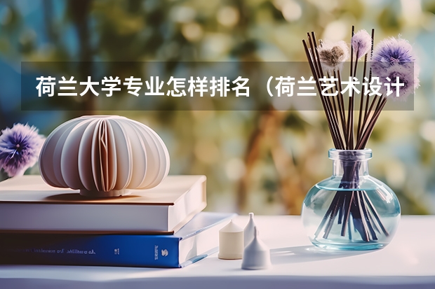 荷兰大学专业怎样排名（荷兰艺术设计专业最顶尖的大学）