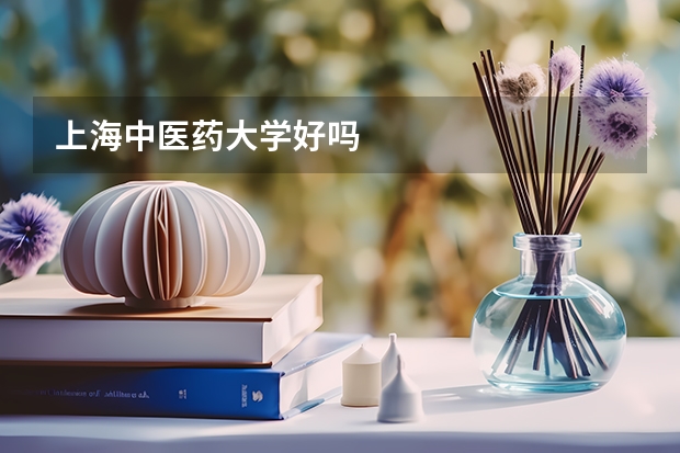 上海中医药大学好吗