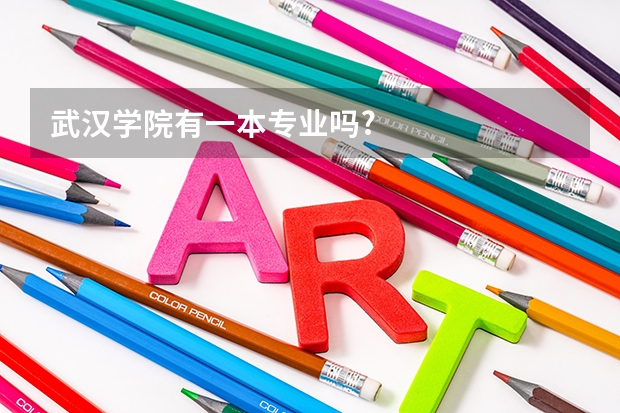 武汉学院有一本专业吗?