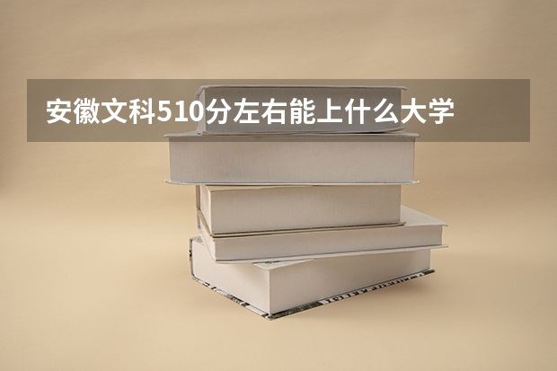 安徽文科510分左右能上什么大学