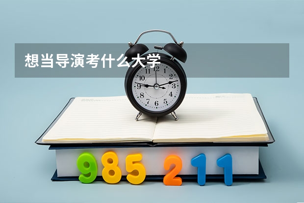 想当导演考什么大学