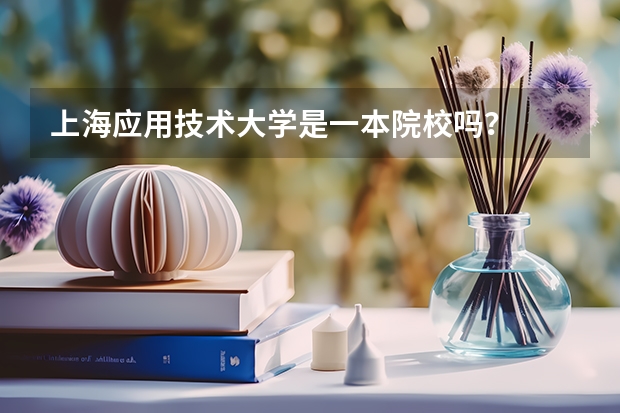 上海应用技术大学是一本院校吗？