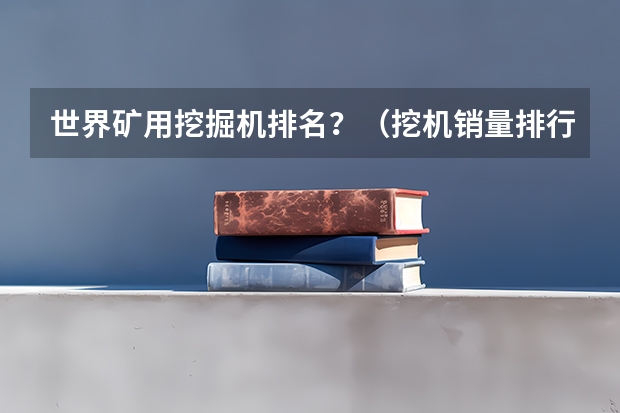 世界矿用挖掘机排名？（挖机销量排行榜？）