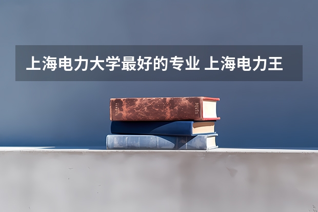 上海电力大学最好的专业 上海电力王牌专业