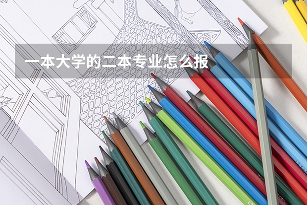 一本大学的二本专业怎么报