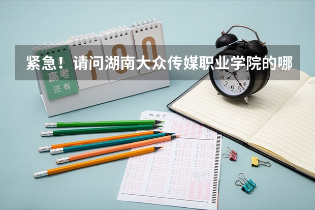 紧急！请问湖南大众传媒职业学院的哪些专业可以专升本？