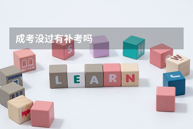成考没过有补考吗