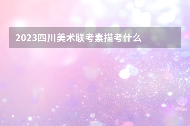 2023四川美术联考素描考什么