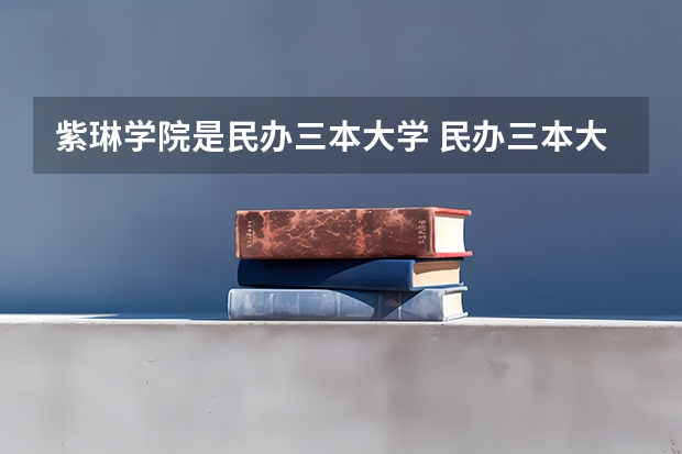 紫琳学院是民办三本大学 民办三本大学排名