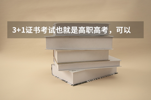 3+1证书考试也就是高职高考，可以报的学校，校风比较好的，3a的，能报考的学校有哪些要公办的！！！