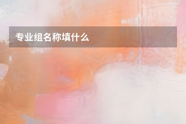 专业组名称填什么