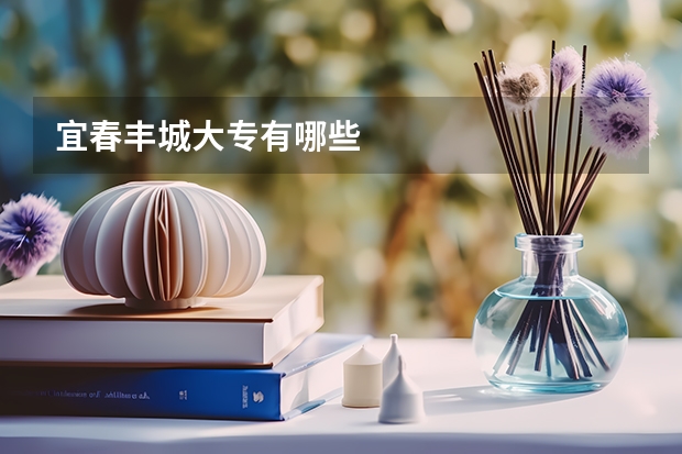 宜春丰城大专有哪些