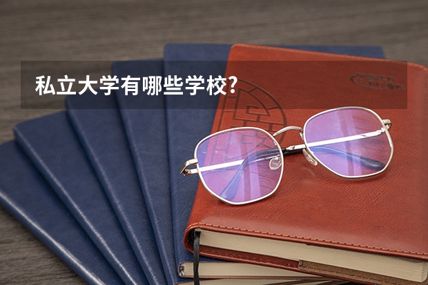 私立大学有哪些学校?