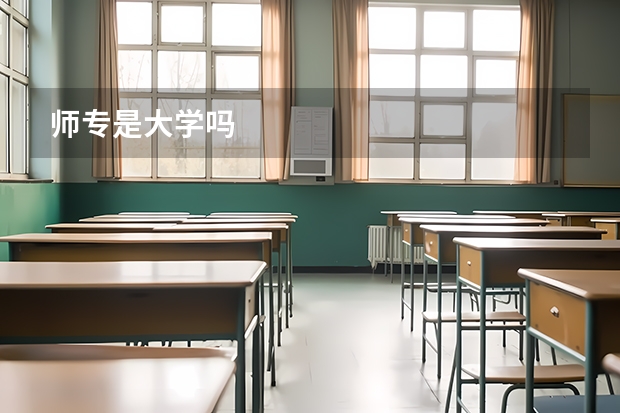 师专是大学吗