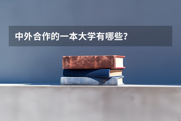 中外合作的一本大学有哪些？