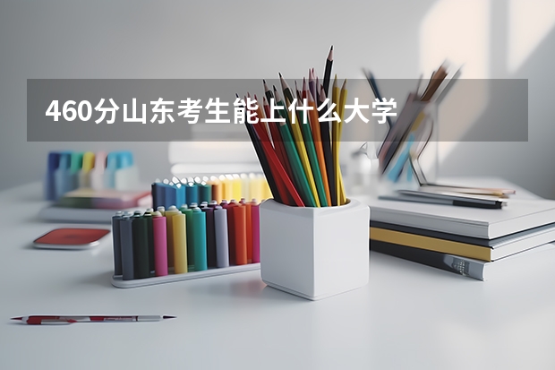 460分山东考生能上什么大学