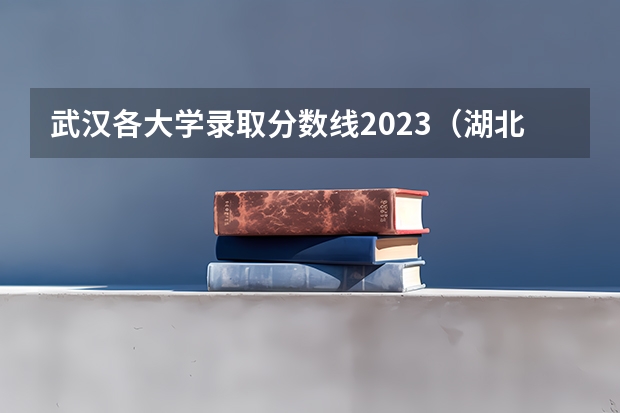 武汉各大学录取分数线2023（湖北省公办二本排名及分数线）