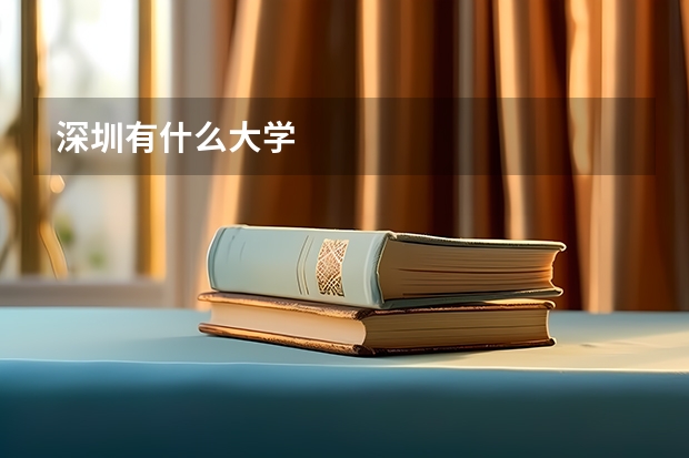 深圳有什么大学