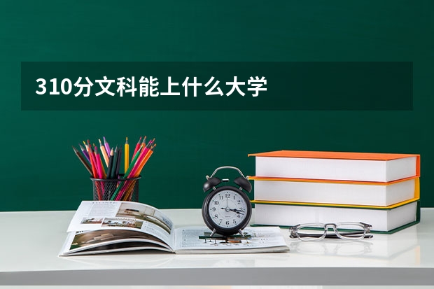 310分文科能上什么大学