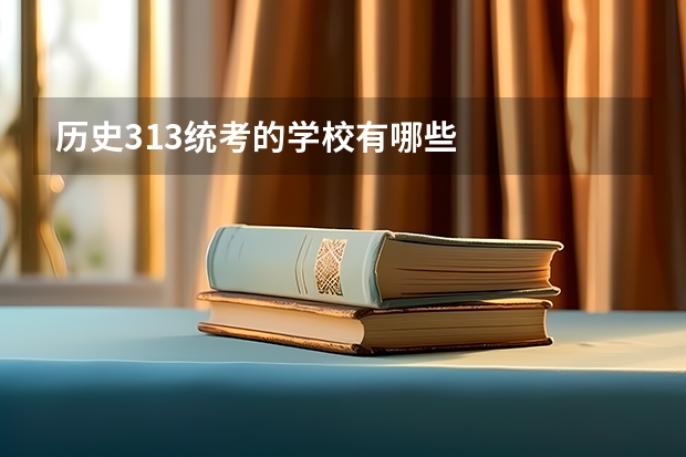历史313统考的学校有哪些
