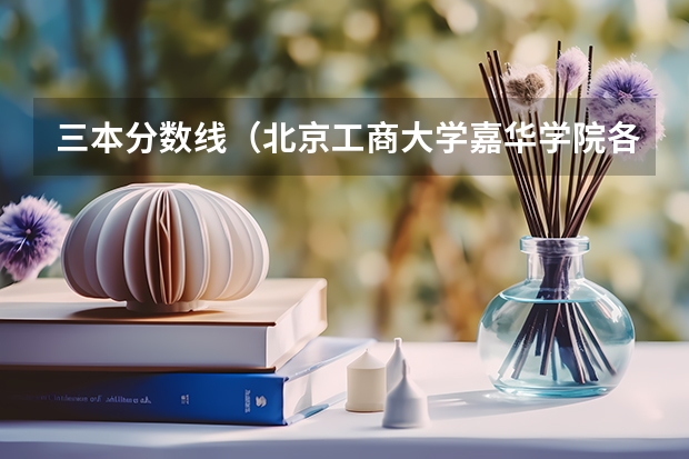 三本分数线(北京工商大学嘉华学院各省三本分数线)