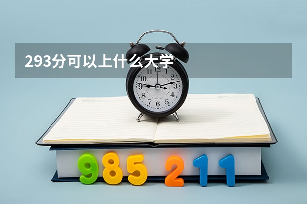 293分可以上什么大学