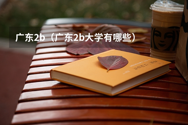 广东2b(广东2b大学有哪些)