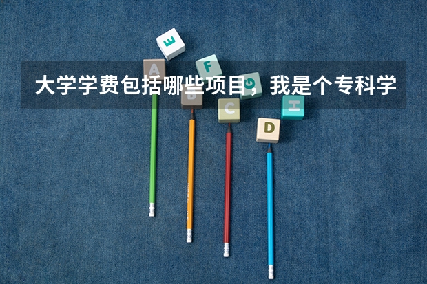 大学学费包括哪些项目，我是个专科学校学生，辅导员说收书费340。