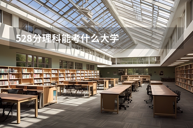 528分理科能考什么大学